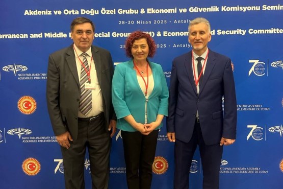 Delegacija PSBiH u PSNATO-a učestvovala u Antaliji na seminaru Posebne grupe PSNATO-a za Mediteran i Bliski istok